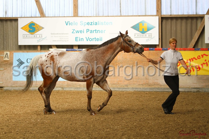 24-ApHC HIH_077.jpg